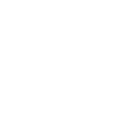 Gerentes de proyectos